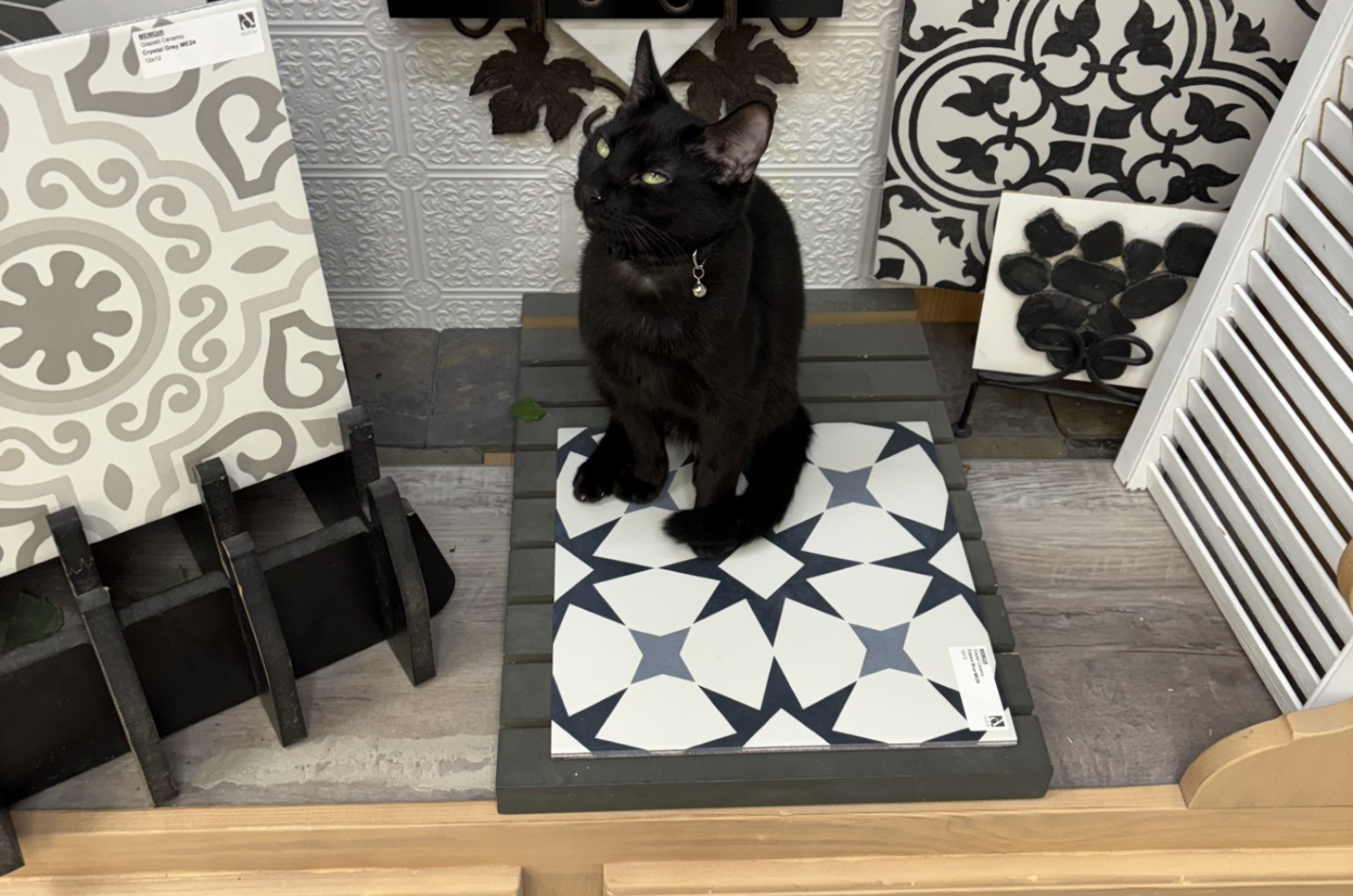 Cat in a tile display